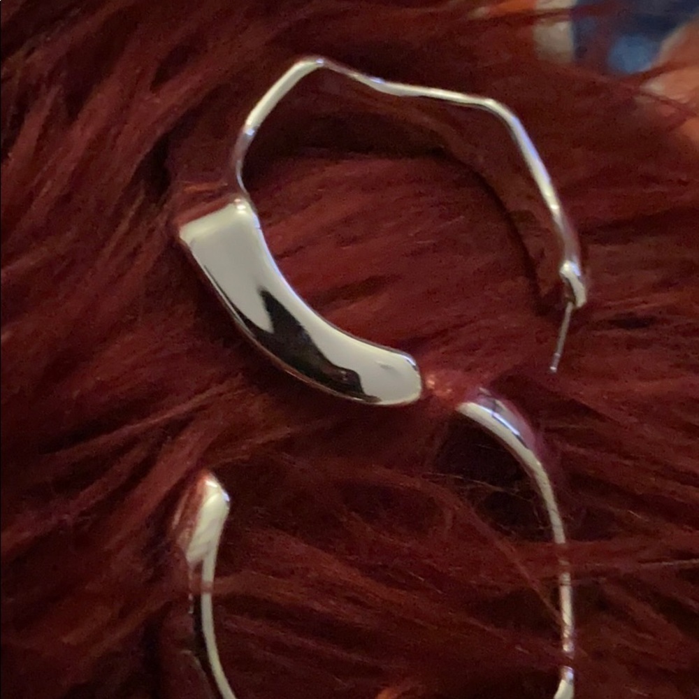 Fab fashion  earrings